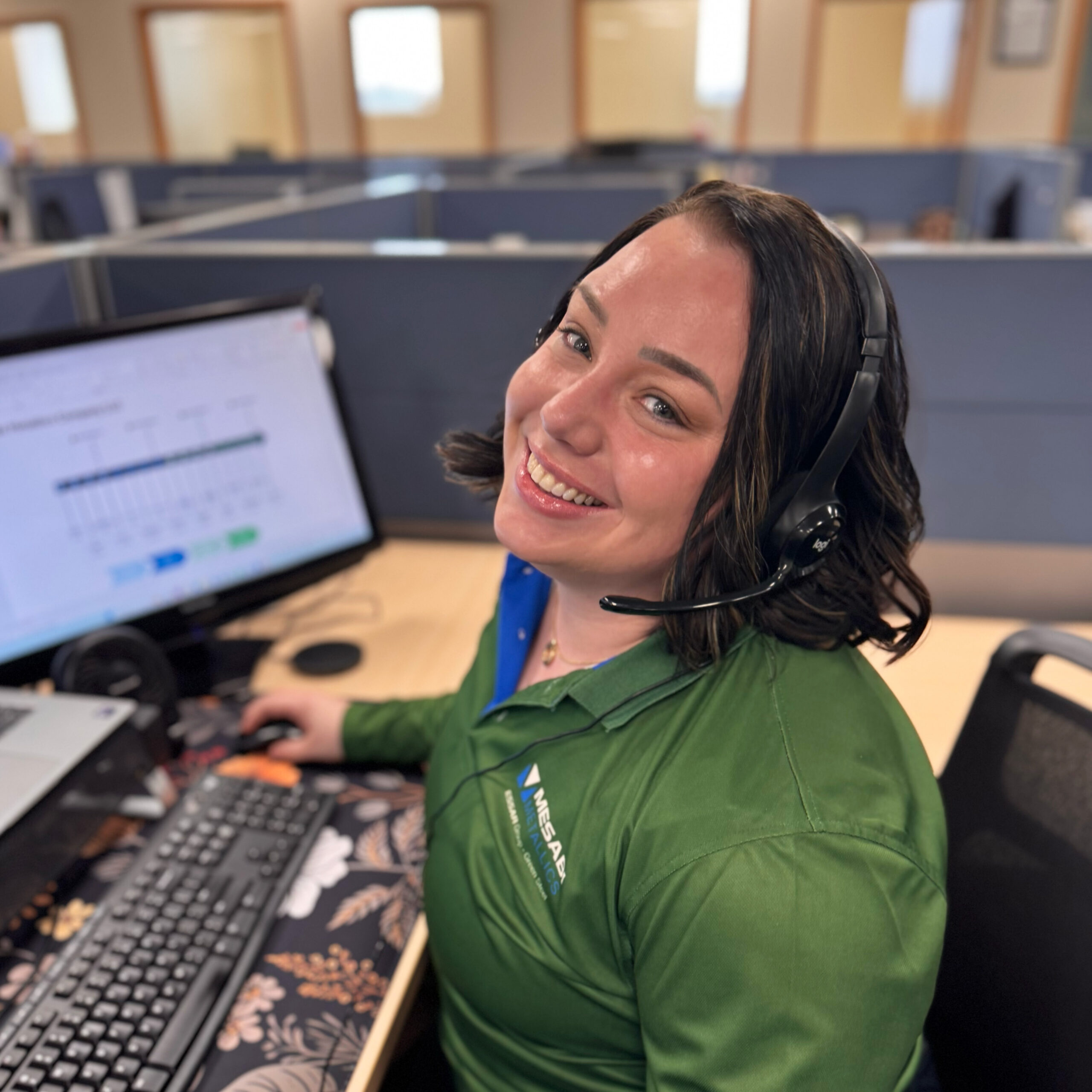 Marketing and Logistics Mesabi Metallics